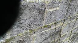 acastle 105850.jpg